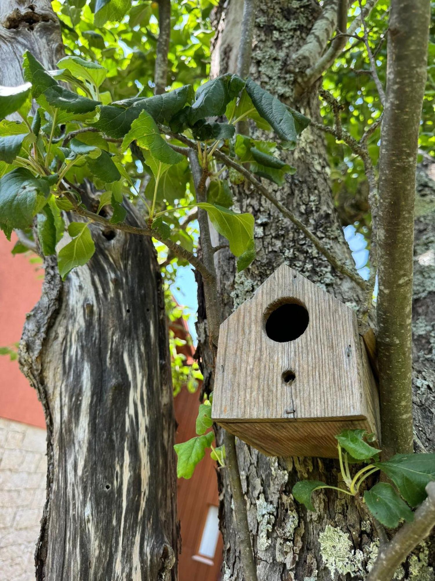 Casa Castanhas - Cinfaes, Viseu * Cinfães