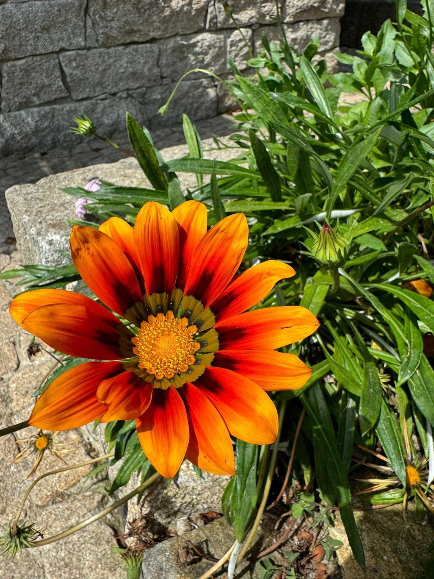Casa Castanhas - Cinfaes, Viseu Holiday home
